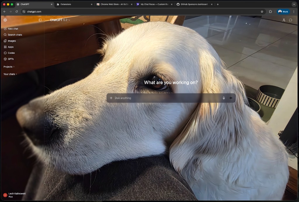 Custom background example — a golden retriever on ChatGPT